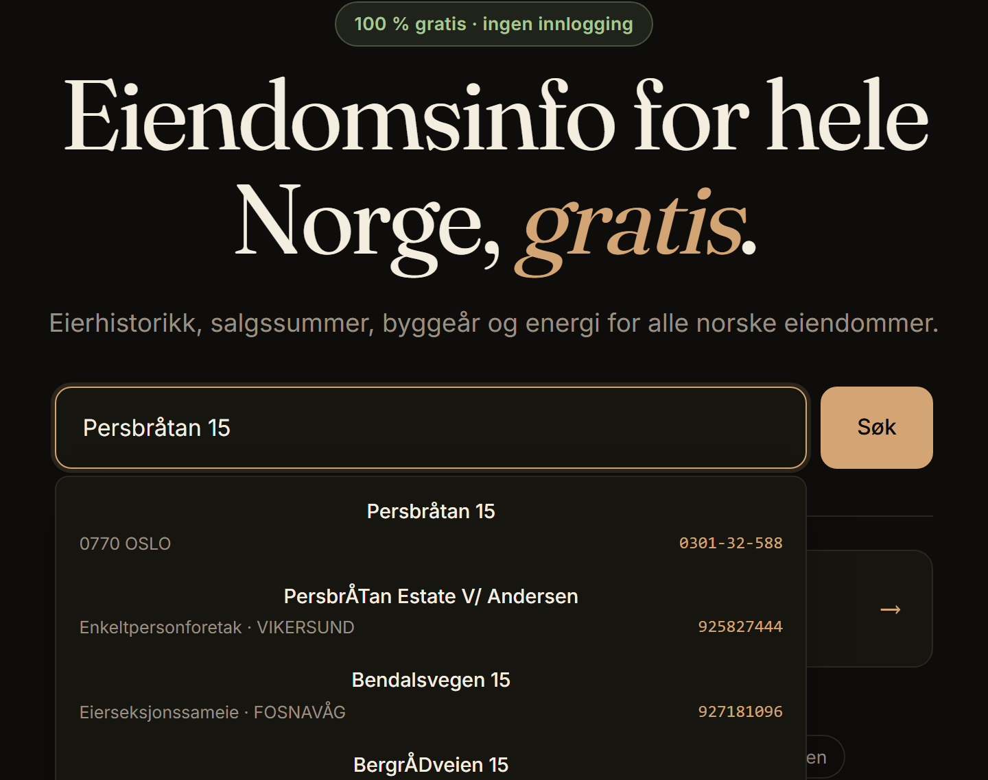 Forsiden med søkefeltet og en adresse halv-skrevet